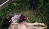 女子跳楼摔死9P