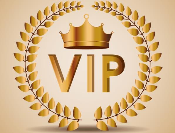 VIP限时优惠
